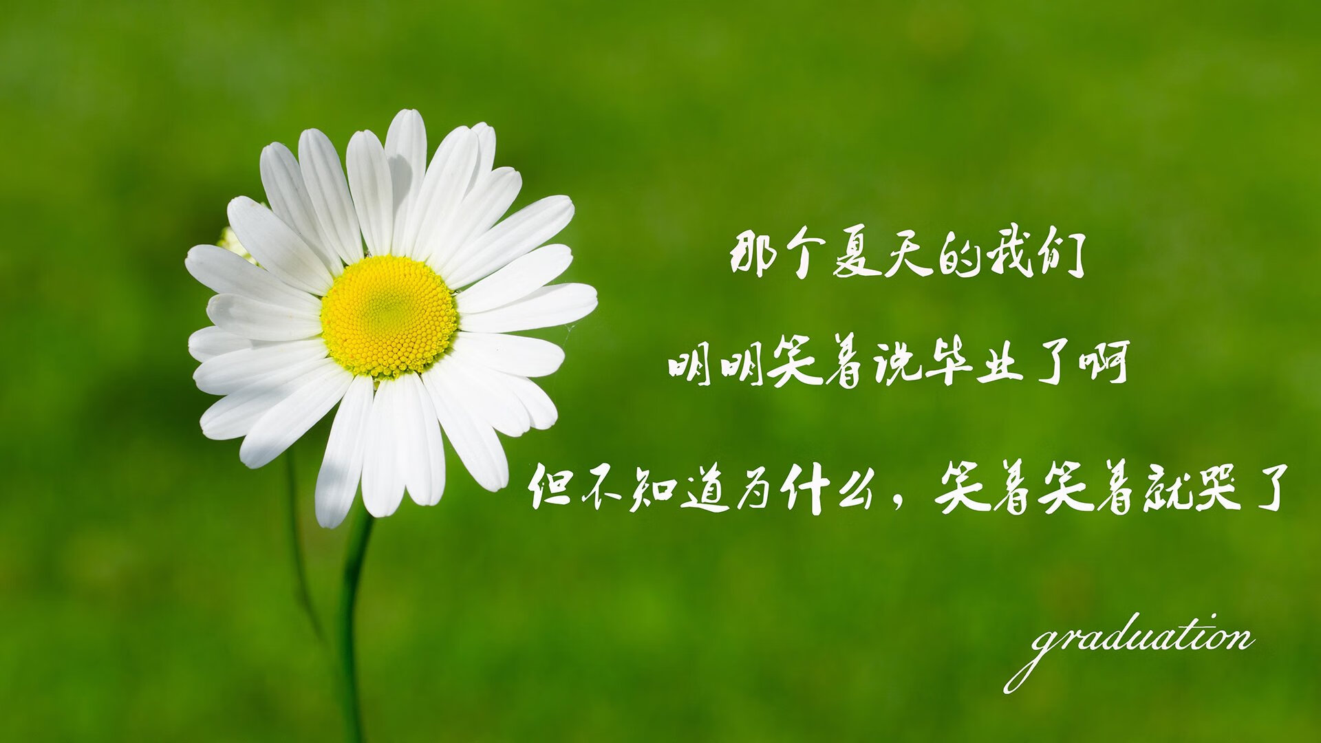 “联盟最萌球星：场外趣味瞬间大放送”，联盟十大球星