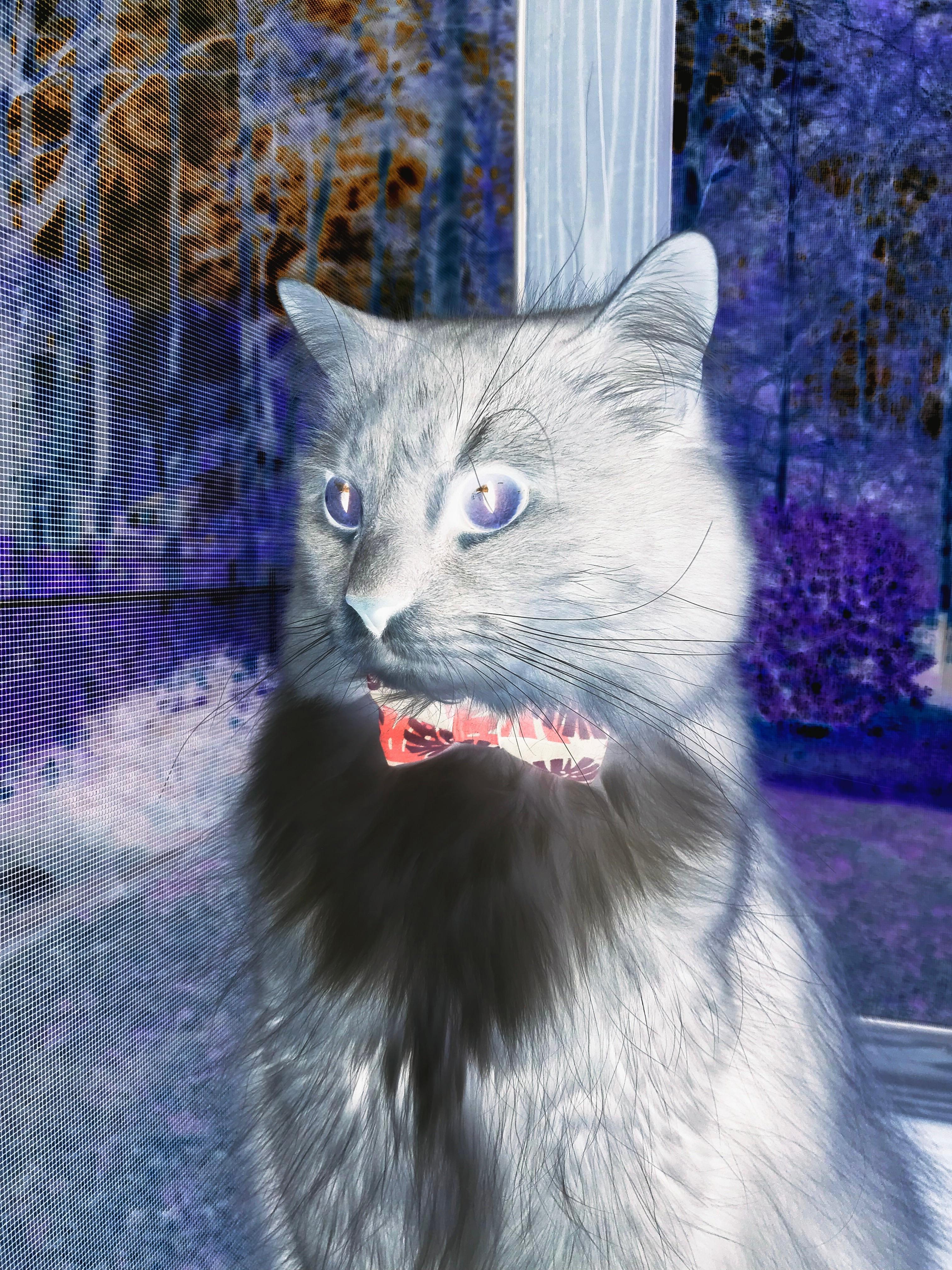 青少年体育锻炼行为干预机制，青少年体育训练原则