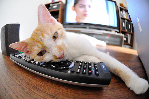 爱游戏中国官方网站平台-“短柄墙球：高新区全民健身馆，比赛不止是对抗，更是智商与反应速度的比拼”