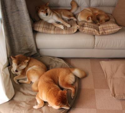 爱游戏官方-比赛虽败精神不输 中国女队仍令人敬佩，比赛虽然失败了