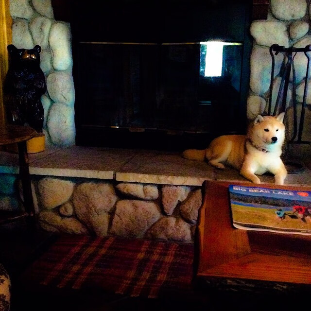 世界杯巅峰对决:谁能笑到最后?,世界杯殿堂十大经典对决