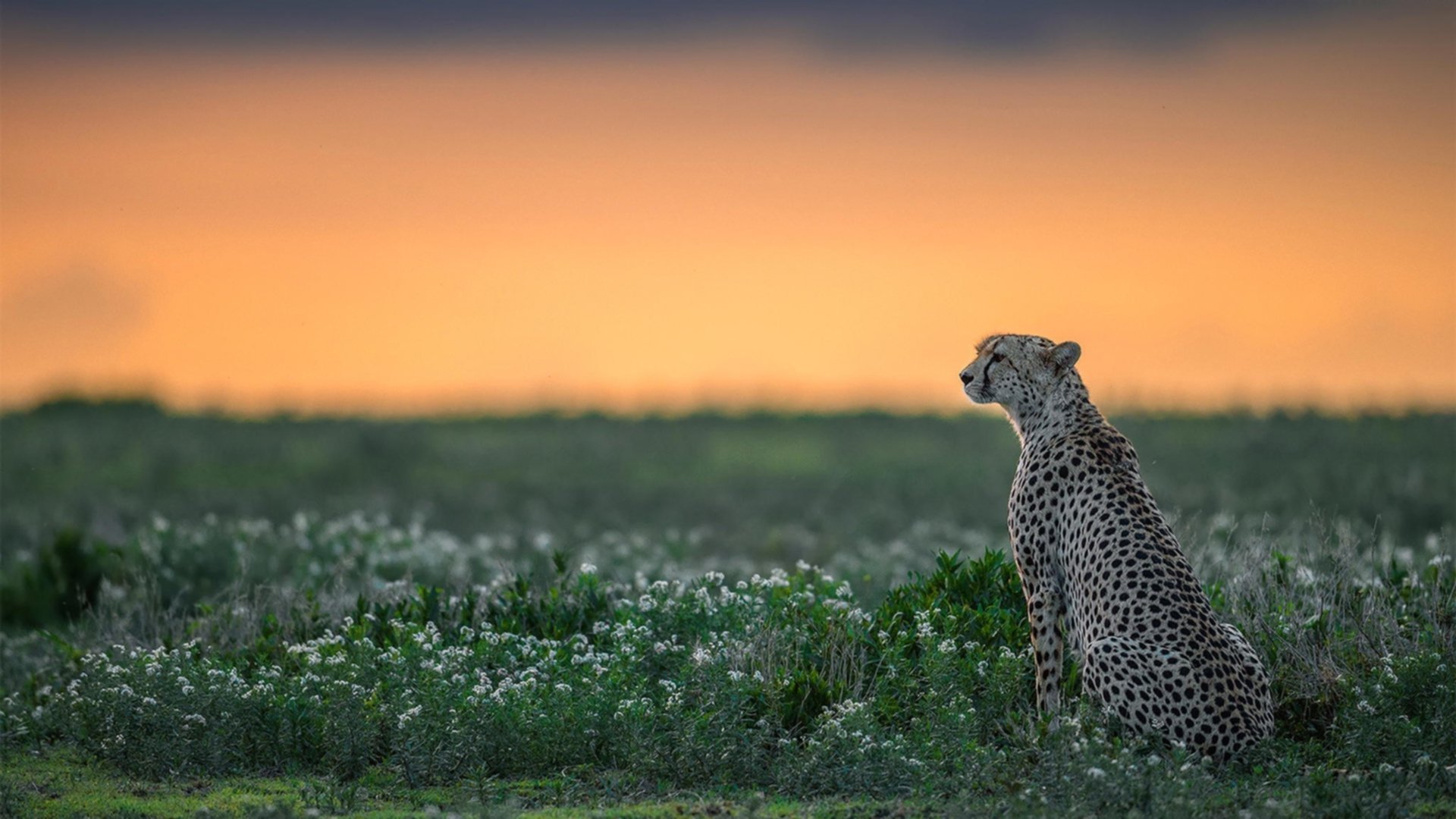 国字号梯队注重身体素质测试提升队伍整体硬度