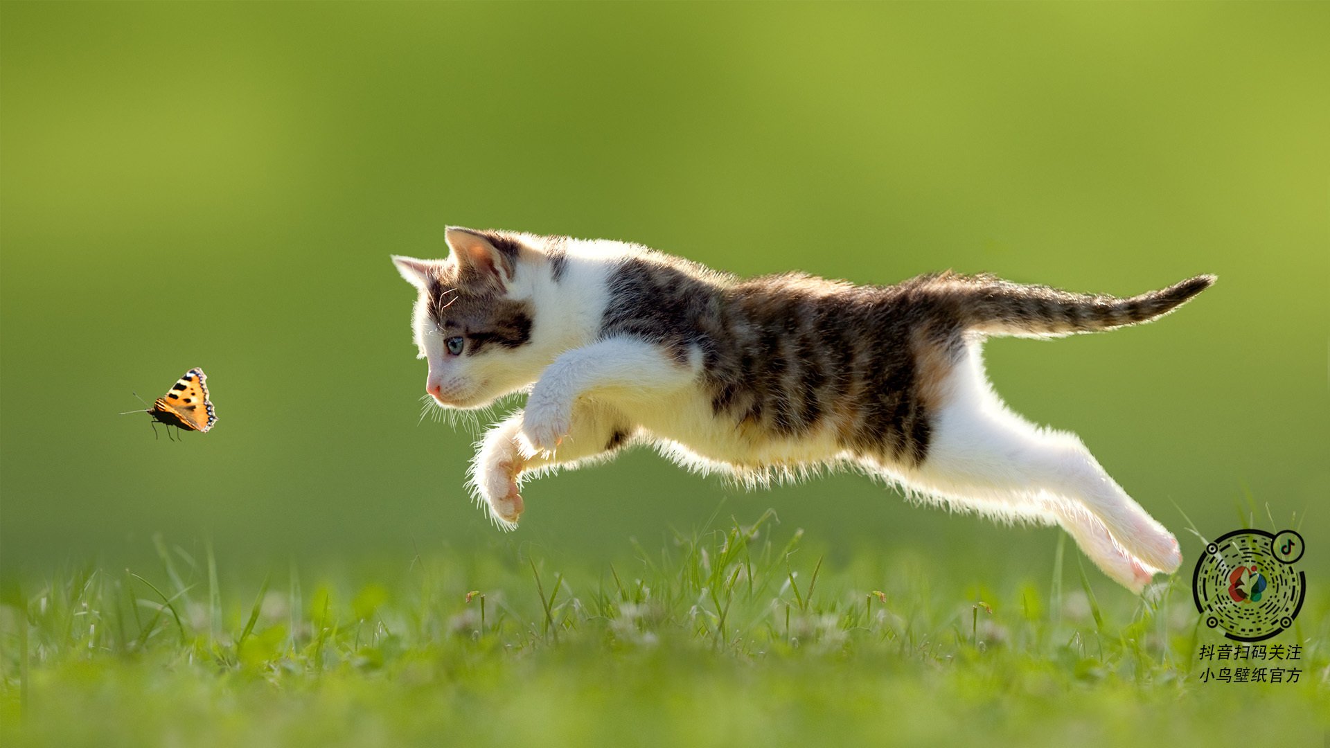 AYX GAMING-波波维奇决赛表现超出预期，波波维奇胜场最新2021