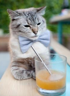 田径运动体能评估体系优化实施，田径 体能