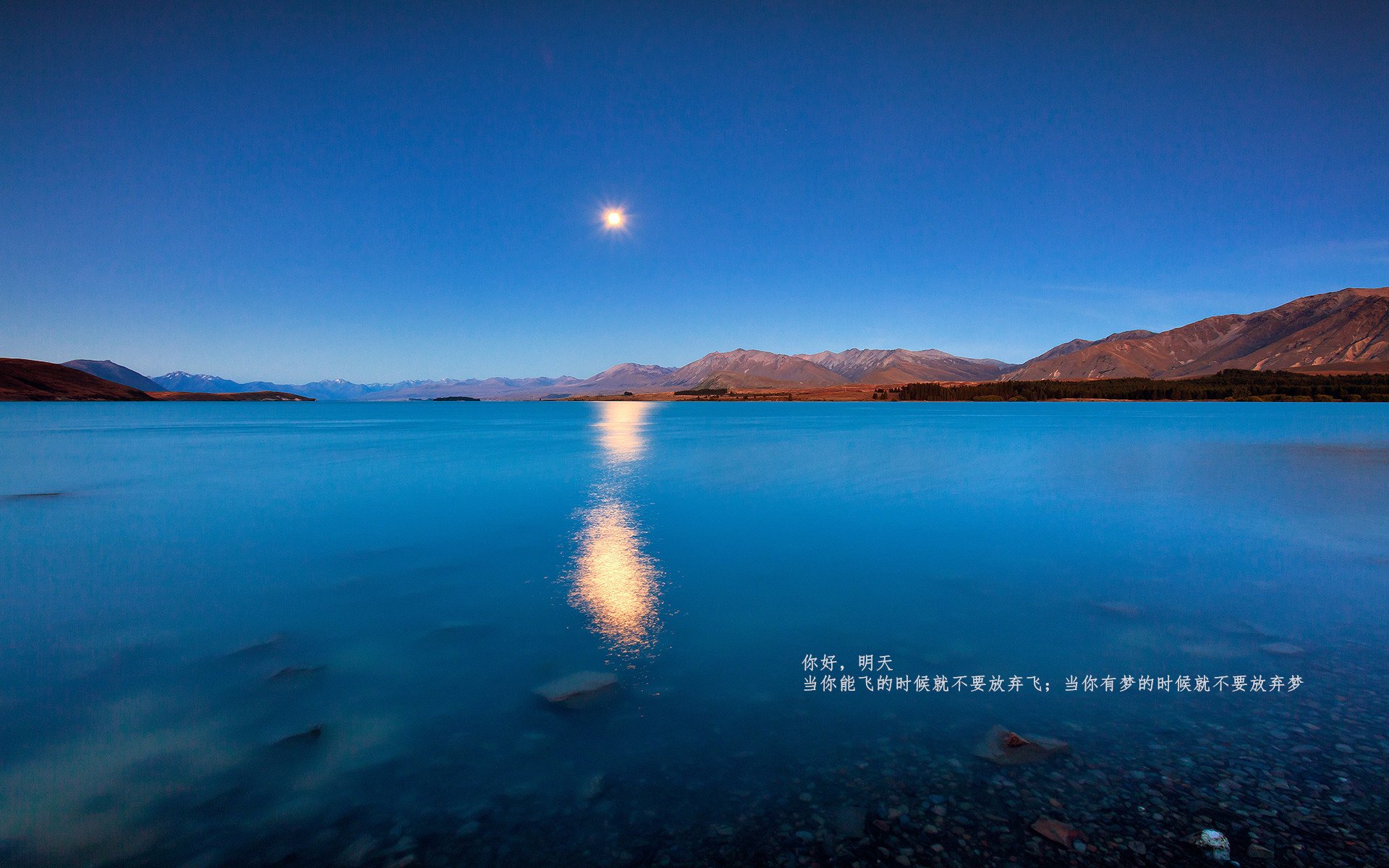 爱游戏下载-米切尔三分手感回暖骑士再添胜场，米切尔什么水平