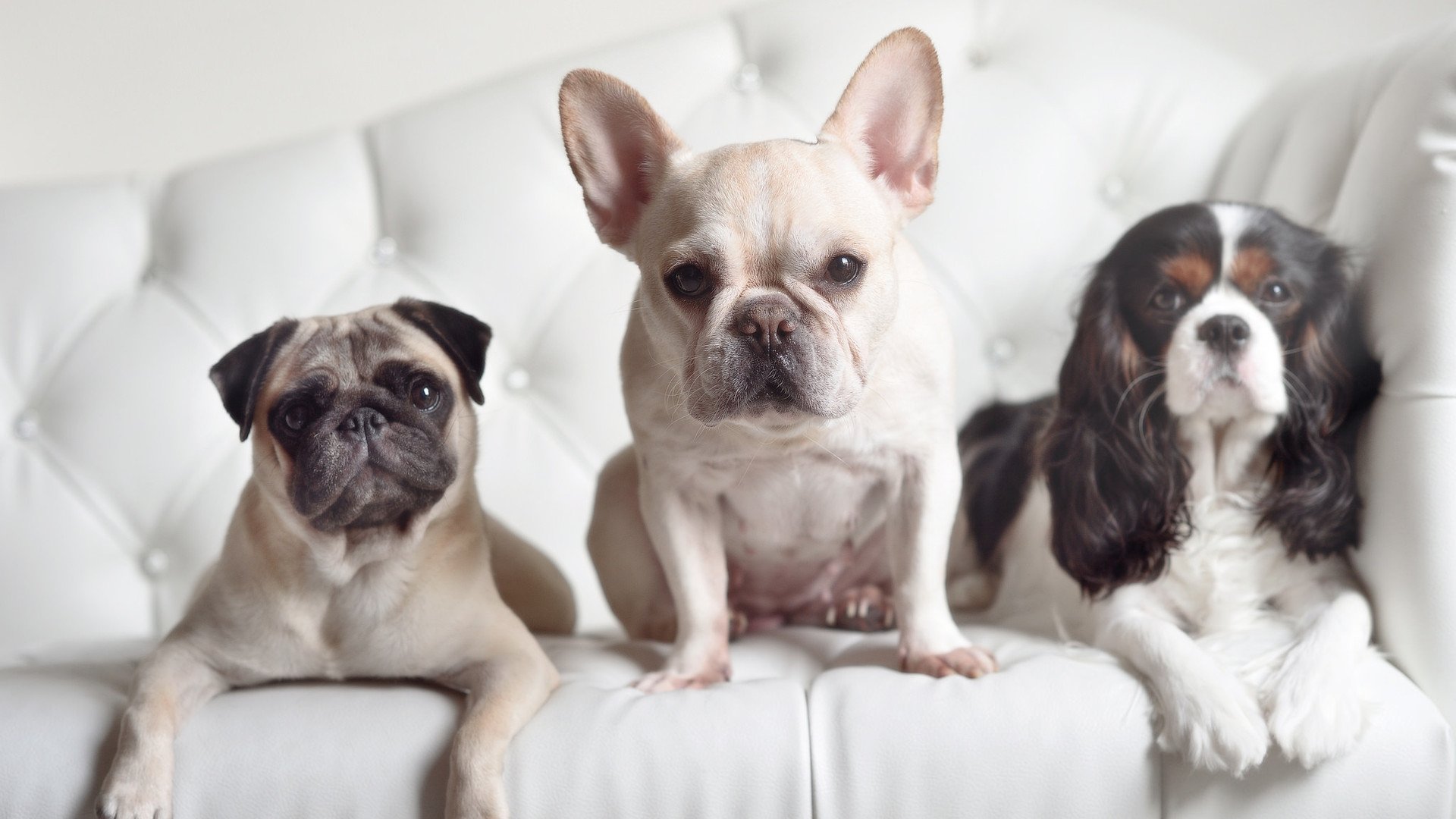 爱游戏官方网站-自由泳韩国选手勇挑重担，韩国自由泳黄善宇