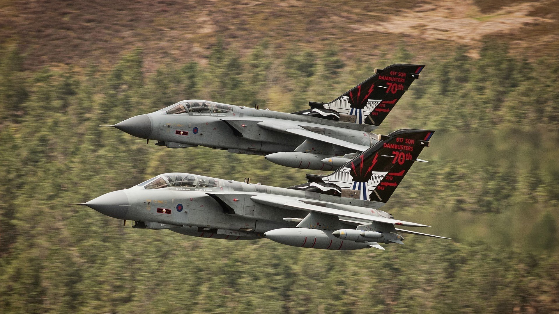 爱游戏娱乐平台-荷兰蝶泳主力状态上佳，荷兰游泳名将