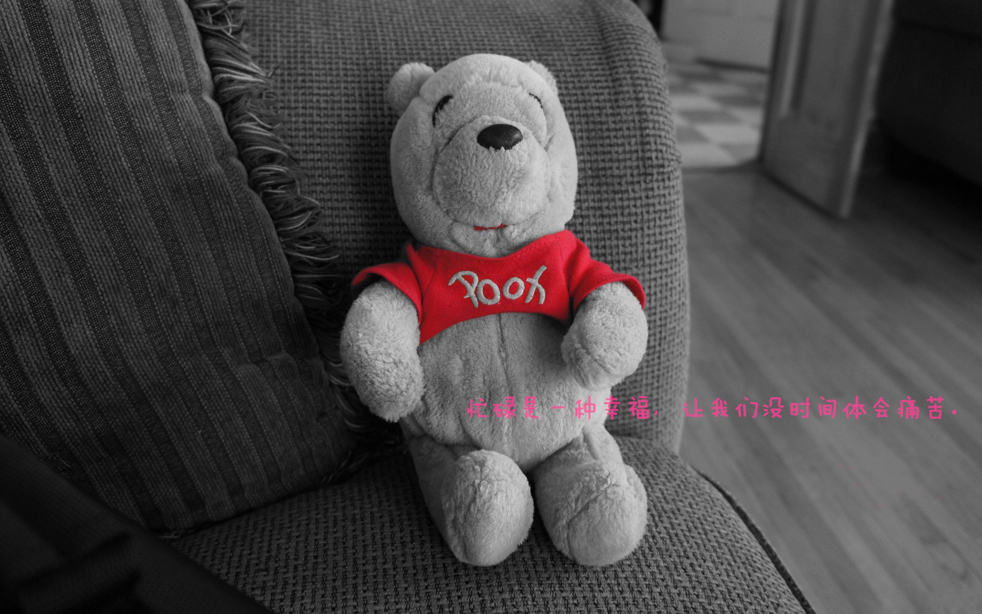 爱游戏官方网站-陈佳佩拉卡尼赛后合影传递友谊，陈佳专访