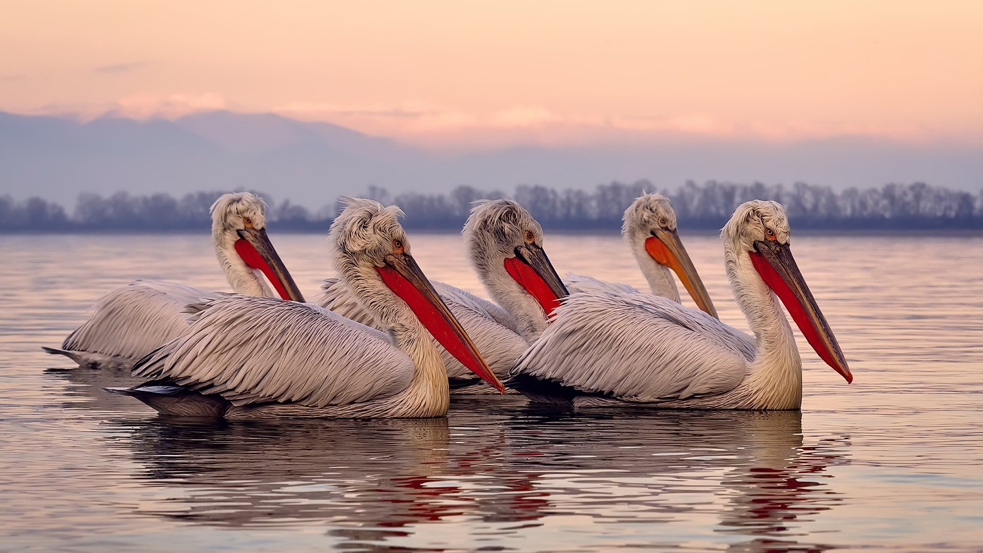 青年国家队启用体能监控腕带采集训练负荷实时反馈