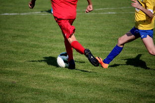 爱游戏-NBA球员训练计划个性化设计，nba球员训练视频,篮球技术