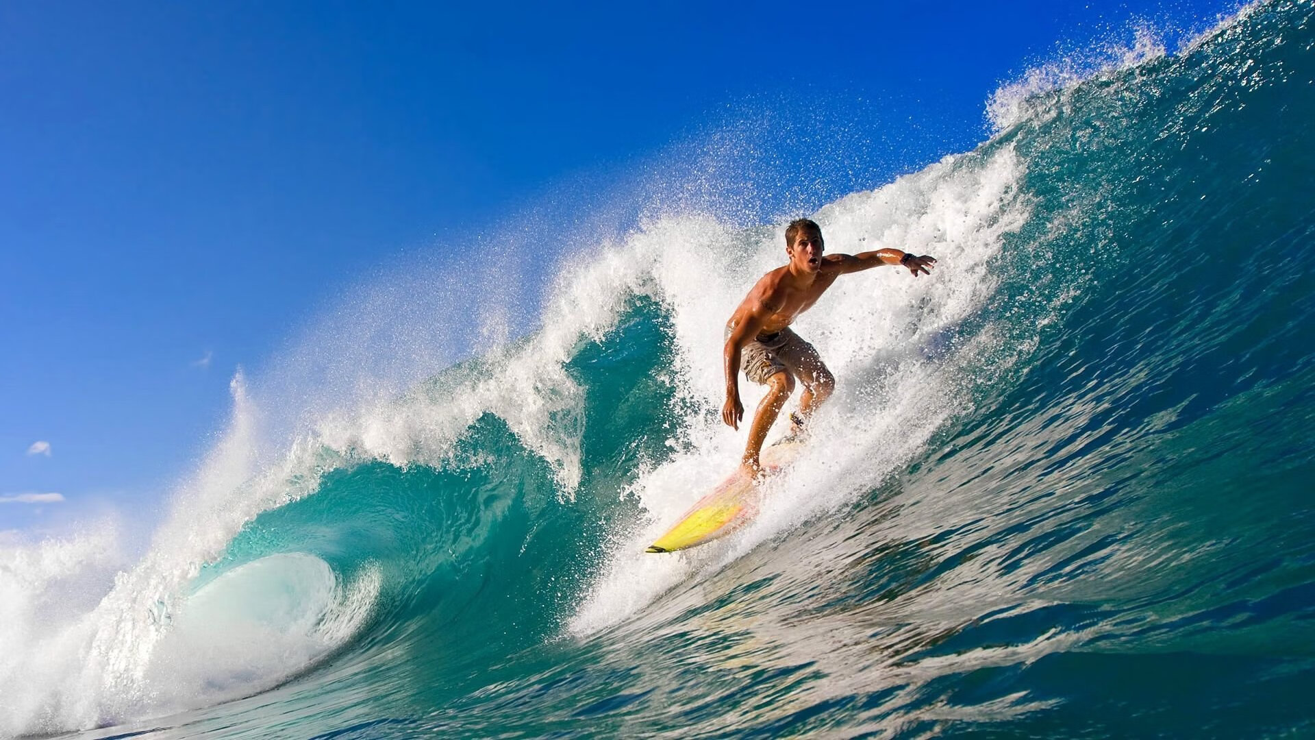 爱游戏娱乐网址-体育直播平台用户互动行为数据分析报告，互动直播体育怎么看